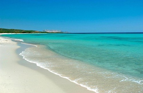 Maiorca Apartment | Discover Li Troni Budoni: Family-Friendly & Pet Welcoming