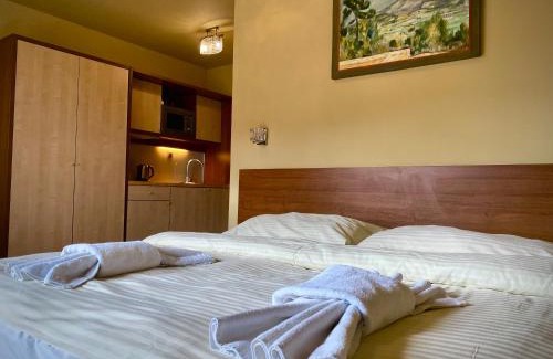 Velka Lomnica Apartment | Discover Holiday Resort Tatry: Pet Friendly & Family Fun