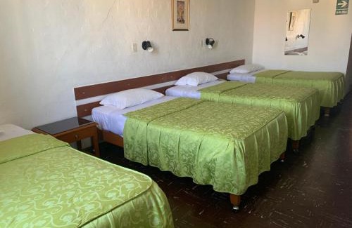 Tacna Hotel | Relaxing Holiday Suites with Ocean View and Pet-Friendly Perks