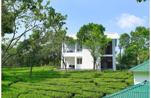 Elappara Hotel | Relaxing Getaway at Holiday Vagamon with Oceanfront Views