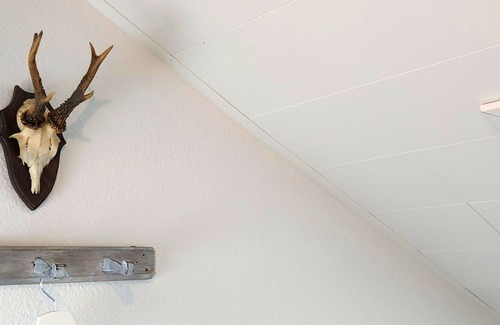Ottersweier Apartment | Holidays at the Schwarzwald-Tani, 59 sqm, 1 bedroom, max. 2 people