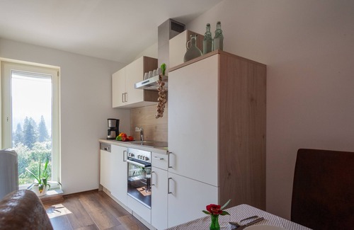 Ludwigsthal House | Family-Friendly Getaway at Falkenstein Bavarian Forest Center