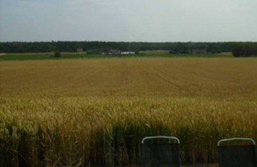 Malarhusens Apartment | Escape to Tranquil Fields Near Ystad, Pet-Friendly Retreat