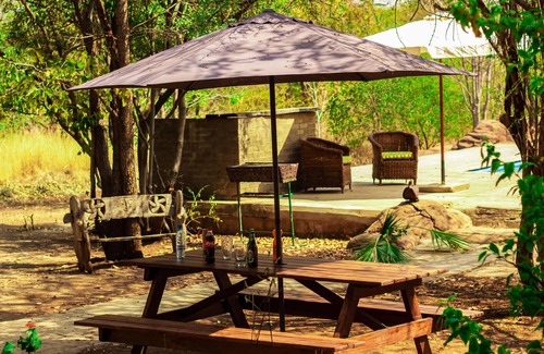 Livingstone House | Tranquil Holistic Hive Retreat with Pool and Pet-Friendly Rooms