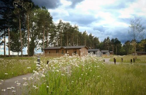 Ryther Cabin | Discover Hollicarrs - Lilypad Lodge: Family Retreat & Hot Tub
