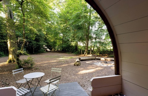 Penwood RV Rental | Premier Hollington Park Glamping: Pet-Friendly Retreat
