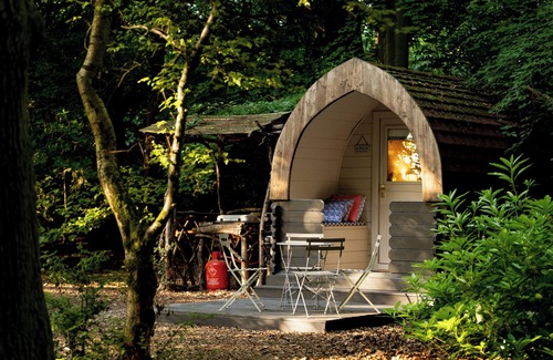Penwood RV Rental | Premier Hollington Park Glamping: Pet-Friendly Retreat