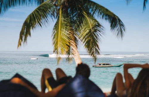 Katiet Resort | Experience Hollow Tree's Resort: Family-Friendly & Relaxing