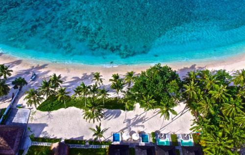 Katiet Resort | Experience Hollow Tree's Resort: Family-Friendly & Relaxing