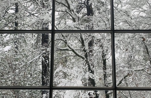 Nevada City Cottage | Inviting Holly’s Cottage: Unplug in Nature's Embrace
