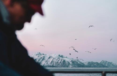 Sørvagen Resort | Experience Oceanfront Bliss at Holmen Lofoten Hotel