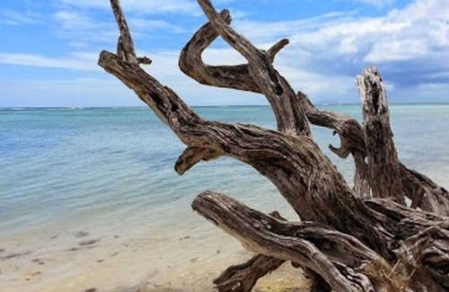 Capesterre-de-Marie-Galante House | Discover Homerez - Oceanfront Retreat in Capesterre