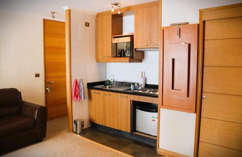 Valle Nevado Apartment | Pet-Friendly Studio in Valle Nevado with Perfect Reviews
