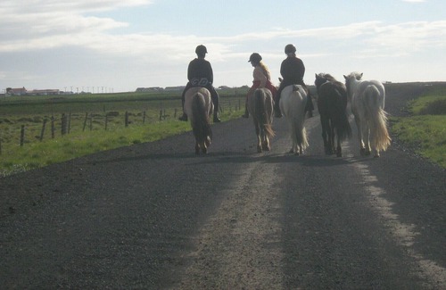 Rangarþing eystra Apartment | Home away from home on an active Icelandic farm - privat 4 persons guesthouse