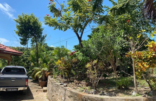Toco House | Your Relaxing Home Away from Home with Family-Friendly Amenities