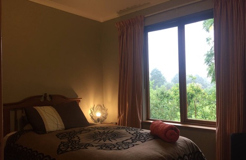 Storms River Cabin | Authentic SA Accommodation Experience for Your Getaway