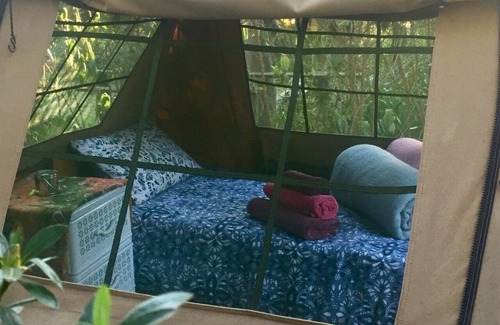 Storms River Cabin | Authentic SA Accommodation Experience for Your Getaway