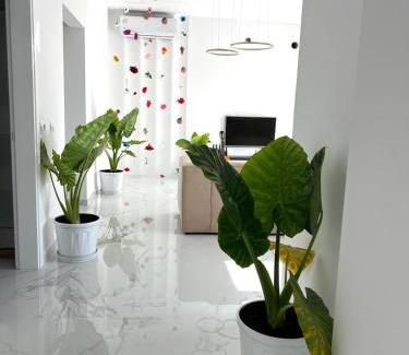 Gramsh Apartment | Family-Friendly Getaway at Home DeLuis - Your Perfect Retreat