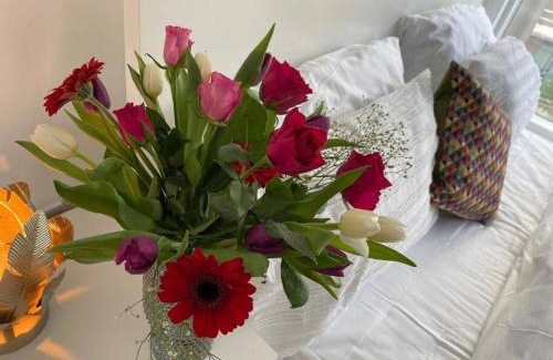 Chatham Apartment | Explore Comfort at Home from Home - Guest Rated 9.6/10