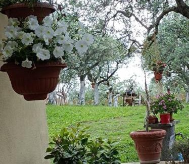 Frascati Apartment | Pet-Friendly Home Il Cortiglione with 9/10 Guest Rating