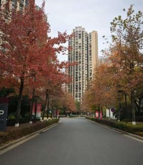 Guilin City Centre Apartment | Home in Guilin, by Luhu Lake, recent scenes near airport