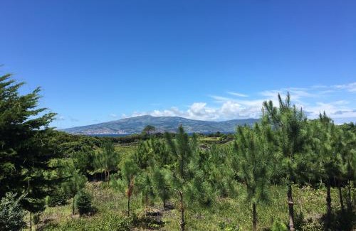 Madalena House | Pet-Friendly Retreat at Home Pico - Casa dos Cedros