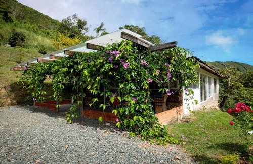 Bugalagrande House | Unforgettable Stay at Home Suite: Pet-Friendly & Poolside