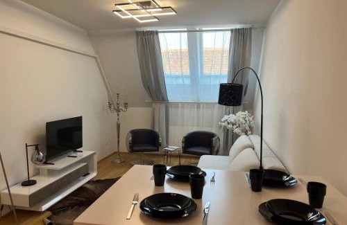 Hartberg Apartment | Experience Home-Suite-Home in Historic Hartberg Center