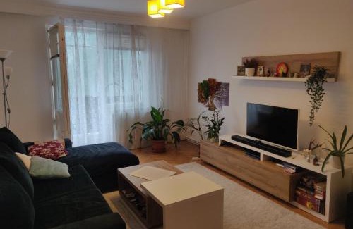 Iernut Apartment | Home sweet home -Central & cozy