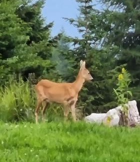 Vallelaghi Apartment | Experience Comfort at Home Sweet Home Giosi - Pet Friendly