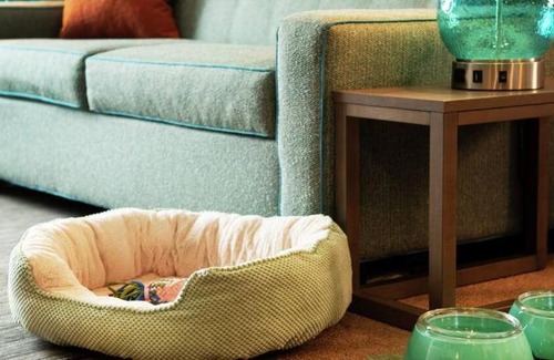 Hammond Hotel | Discover Home2 Suites By Hilton Hammond - Rated 8.6/10