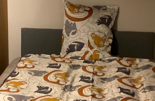 Heirnis House | Cozy HOMECOMFORT Gent: Family-Friendly with Kitchen Access