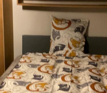 Heirnis House | Cozy HOMECOMFORT Gent: Family-Friendly with Kitchen Access
