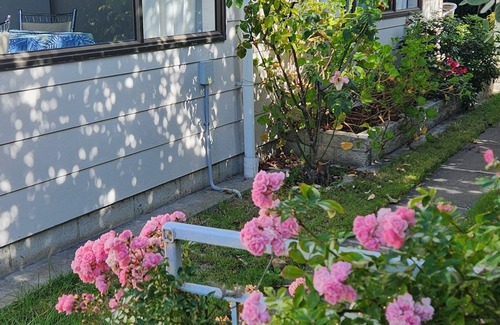 Napier House | Homely haven 2 bedroom house. Only 1.1km to the Napier CBD and Marine Parade
