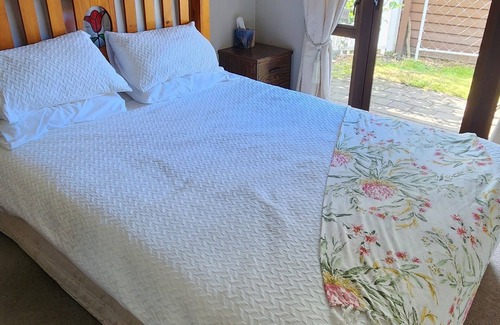 Napier House | Homely haven 2 bedroom house. Only 1.1km to the Napier CBD and Marine Parade