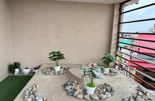Palampur House | Homely Hideout