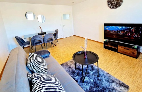 Neckarau Apartment | Modern Apartment in Mannheim with Pool and Spa Amenities