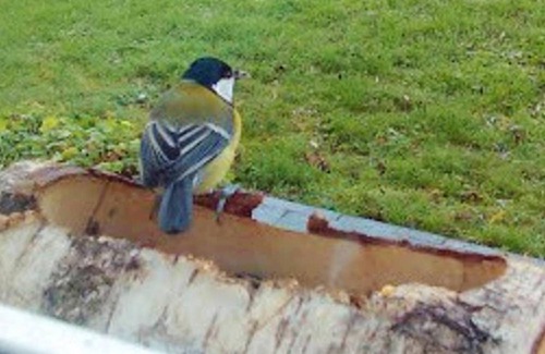 Le Pont-de-Claix Ski Chalet | Homerez - Big chalet for 12 ppl. with swimming-pool and spa at Le Pont-de-Claix