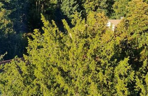 Saint-Cyr-au-Mont-d'Or Apartment | Homerez - Amazing appartement for 2 ppl. at Saint-Cyr-au-Mont-d'Or