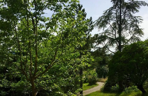 Saint-Hippolyte-du-Fort House | Homerez - Nice house for 3 ppl. with terrace at Saint-Hippolyte-du-Fort