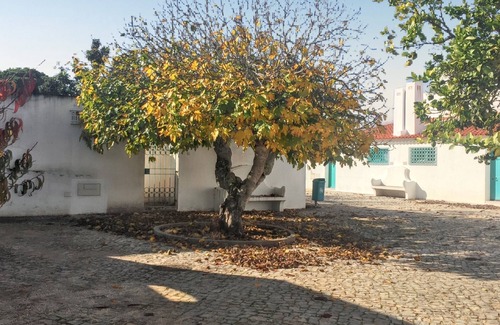 Prainha House | Seaside Retreat: 200m from Beach with Pool & Ocean View