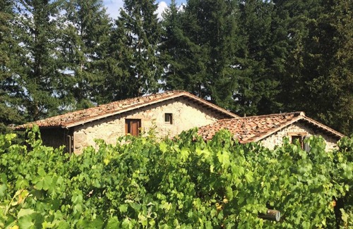Barga Villa | Unforgettable Villa Stay for 8 with Pool and Terrace in Barga