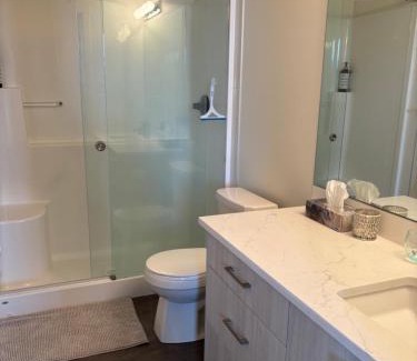 Southeast Calgary House | Homeshare Condo in Legacy Calgary AB