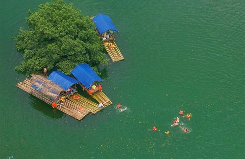 Huu Lung Cabin | Discover Pet-Friendly Comfort at Homestay Đồng Lâm