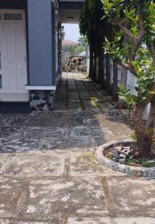 Long Hai Apartment | Cozy Homestay 7 Nga: Family-Friendly Accommodations Await