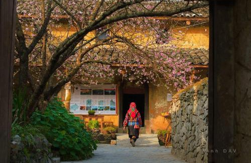 Dong Van House | Homestay & Cafe Cực Bắc