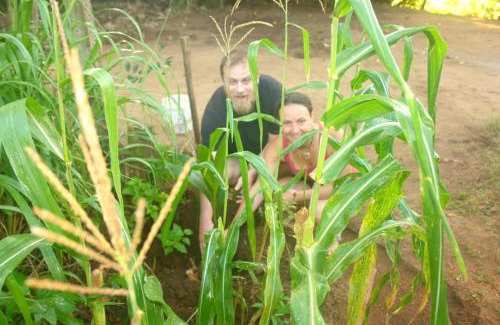 Anuradhapura Other | Cozy Homestay Camping in Anuradhapura - Rated 9/10!