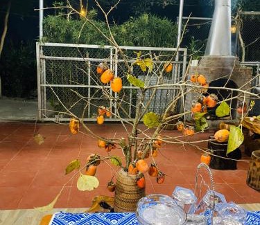 Van Chan Bed & Breakfast | Pet-Friendly Homestay Chinh Bi: Rated 9/10 with Breakfast