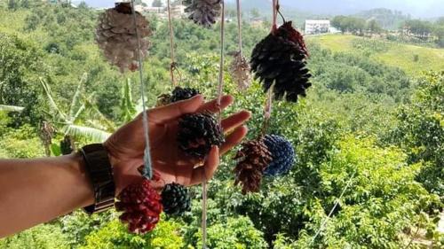 Lac Duong House | Pet-Friendly Homestay Da Blah with Exceptional Reviews