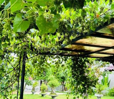 Son Hoa House | Comfortable Stay at Homestay Highland Garden for Families